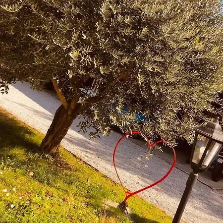 La Dolce Vita. Nel Cuore Del Friuli Venezia Giulia Casa vacanze Mariano del Friuli