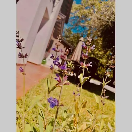 La Dolce Vita. Nel Cuore Del Friuli Venezia Giulia Tatil Evi Mariano del Friuli