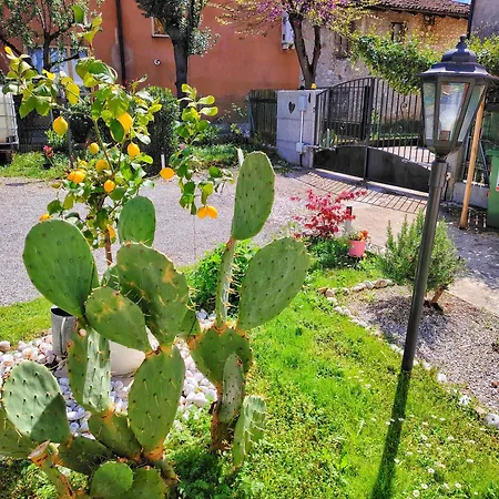 La Dolce Vita. Nel Cuore Del Friuli Venezia Giulia * Mariano del Friuli